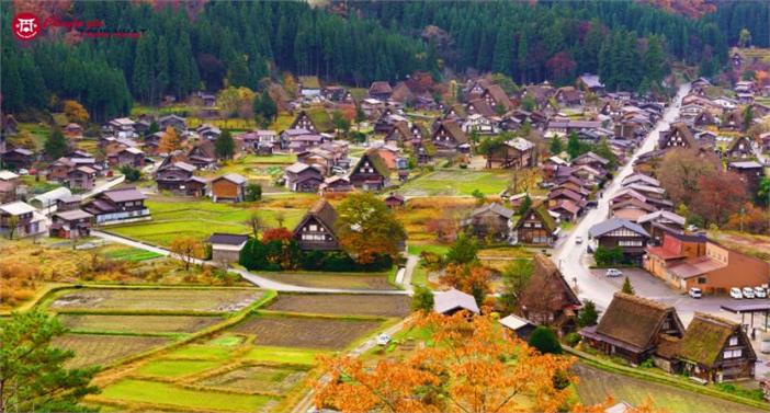 [HCM] Tour Nhật Bản Mùa Thu 2026: Cung Đường Làng Cổ Shirakawago